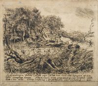 Niels Skovgaard (Danish, 1858 - 1938) Fallen Tree - Selskovgen Drypoint etching. 21.5 x 24.