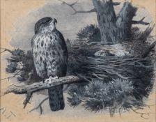 Archibald Thorburn (British,