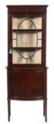 An Edwardian mahogany and glazed display cabinet,