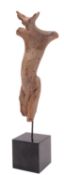 A terracotta torso, mounted on an ebonised block with label L. Caumont Torio, 32cm high.