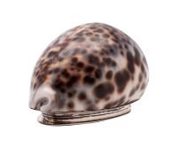 A George III silver mounted cowrie shell snuff box, Edinburgh hallmark, maker R.H.