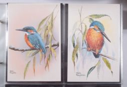 Postcards, Miscellaneous, in modern albums and loose,