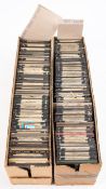 A collection of 3 1/4 inch diapositive lantern slides, of trees and plants.