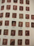 A Collection of Great British Stamps in two Devon albums with 1d Black, 2d Blues,