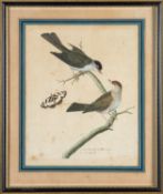 After Francois Nicolas Martinet,