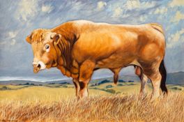 Tony Whieldon (British, 20th Century) Aquitaine Bull Oil on canvas 49.5 x 79.