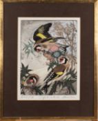 David Koster (British, 1926-2014) Gold