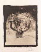 Didier Chatonnet (French 20th Century) - 'Deliverance' - Platinum print - 34 x 27cm - Signed,