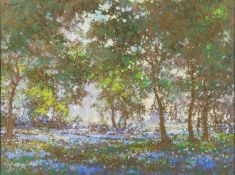 Harold Cox (British, 20th Century) - A Sussex Bluebell Wood - Pastel - 27 x 36.