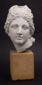 A Continental plaster model of the head of the Venus de Medici, modelled after the Antique,
