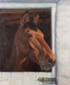Alec Wiles (British, b. 1924) - Head of a horse looking out of the stable - Oil on canvas - 56 x 45.