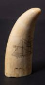 A Scrimshaw decorated tooth with incised image of a ship with American flag,