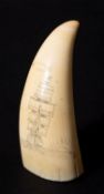 A Scrimshaw decorated tooth with incised image of a ship,