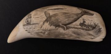 A Scrimshaw decorated tooth with incised image of a ship and whaling scene,