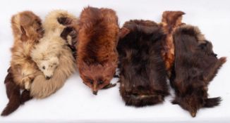 Five various early 20th century fur stoles.