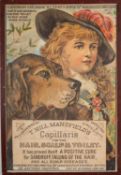 A later reprint of T. Hill Mansfield's Capillaris advertisement of 1896, 72 x 47.