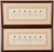 R J Moss & Co. Six framed displays of flies.