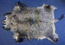 A Wild Boar skin floor rug,