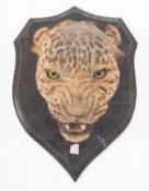 A late 19th/early 20th century taxidermy Leopard's head, unsigned, inset glass eyes,