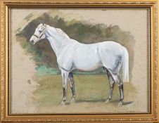 Denis Aldridge (British, 1898-1985) Study of a standing grey horse Watercolour and gouache 21.