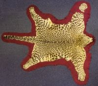 A taxidermy head Leopard skin, by F L Shepherd, Bhowali,