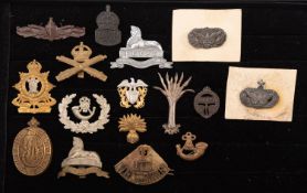 A collection of various regimental cap badges and insignia, including a Warwickshire cap badge,