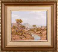David Johnson (South African, Contemporary) - South African landscape - Pastel - 21 x 36.