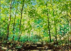 20th Century School - Forest scene with sunlit trees - Oil on canvas - 64.