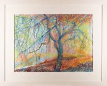 A group of landscape pictures by Mary Chugg (British, 1935 - 2024) - The Winter Tree - Pastel - 43.