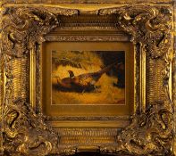 A gilt wood and gesso frame in the Rococ