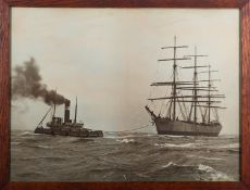 After Tim Thompson (Contemporary)