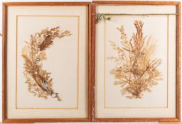 A pair of Victorian seaweed and shell pi