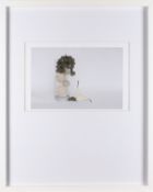 Natalia Boczar (Contemporary) -