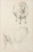 Robert Hills (British, 1769-1844) - Studies of Sheep - Pencil - 22 x14.