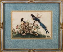 A set of six Chinese pith paper paintings of exotic birds Qing Dynasty,