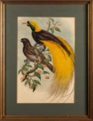 William Matthew Hart (Irish, 1830-1908) and John Gould (British,