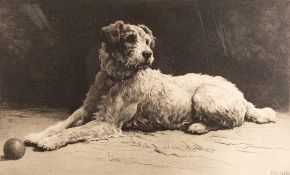 Herbert Thomas Dicksee (British, 1862 -1942) - 'Ready' - A wire-haired Fox Terrier,
