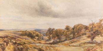 Henry Clark Pidgeon (British,