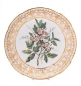 A Swansea 'Marquis of Exeter' botanical lobed circular dish decorated in London with a thorny