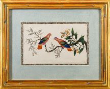 A set of four Chinese pith paper paintings of exotic birds Qing Dynasty,