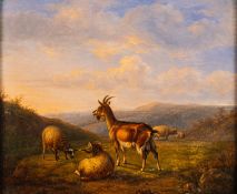 Eugene Vermeulen (Dutch, 19th Century) - Goats in a Landscape - Oil on panel - 26 x 31,