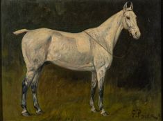 George Paice (British, 1854-1925) - Study of a dapple horse - Oil on canvas - 22 x 29.5cm - 38 x 46.