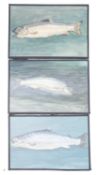 Biddy Holden (1920-2017) three watercolour studies of fish, 19 x 27.