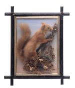 A late Victorian cased taxidermy,