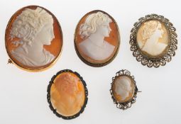 A group of five cameos, a large cameo brooch with a plain mount, unmarked, length approx. 5.0cm, 16.