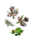 Four Enamel on Silver Floral Brooches