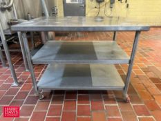 S/S Portable Table: 4' x 34
