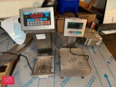 Toledo and Doran S/S Digital Scale - Rigging Fee: $100