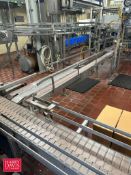 S/S Framed Dual-Lane Product Conveyor: 18' x 3.25