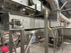 S/S Elevator Cap Conveyor: 17’ x 14